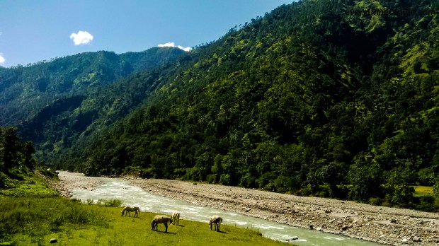 Jauljibi, Dharchula, Munsiyari, Madkot, Unexplored Route, Unseen Places, Uttaranchal, uttarakhand, Self Drive, india, Road Trip, Kali River, Maha Kali River, Gauri River, Gauriganga River, Panchkuli, Himalaya, Landscape, Waterfall, Water fall