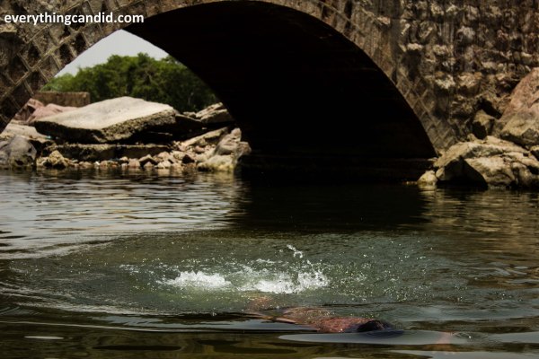 Orchha, madhya Pradesh, khajuraho, Bundelkhand, India, Betwa, Moghul, incredible India, heart of Incredible India