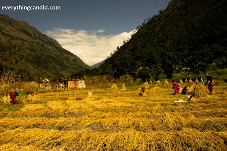 Road Trip, Self Drive, Traveling, Uttaranchal, Uttarakhand, Almora, Pithoragarh, Champawat, Kali RIver, Gauri River, Dharchula, Jauljibi, Munsiyari, Mandakini, Madkote, Bhimtal, Thal. Dhaba, Gyani Dhaba, Scenic beauty, travelogue, travel blog