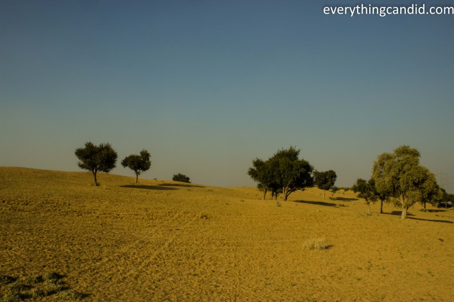 Desert Safari, Thar Desert, Rajasthan, India, Camel Ride, Travel, Camping, Desert Night, Sunrise, Sunset