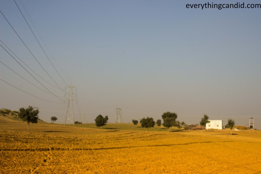 Desert Safari, Thar Desert, Rajasthan, India, Camel Ride, Travel, Camping, Desert Night, Sunrise, Sunset
