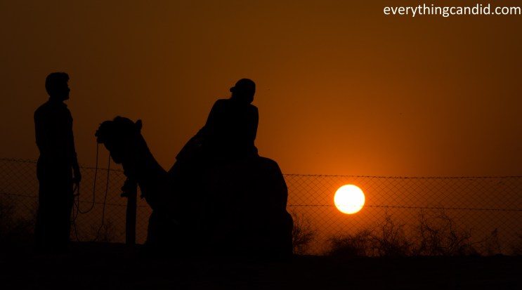 Desert Safari, Thar Desert, Rajasthan, India, Camel Ride, Travel, Camping, Desert Night, Sunrise, Sunset