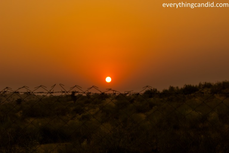 Desert Safari, Thar Desert, Rajasthan, India, Camel Ride, Travel, Camping, Desert Night, Sunrise, Sunset