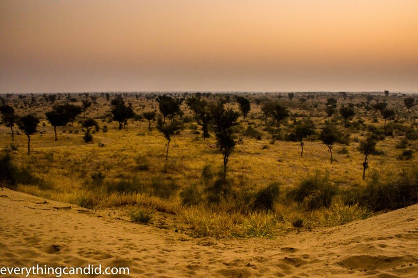Desert Safari, Thar Desert, Rajasthan, India, Camel Ride, Travel, Camping, Desert Night, Sunrise, Sunset