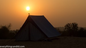 Sun, Golden Hour, Chasing the Sun, Desert
