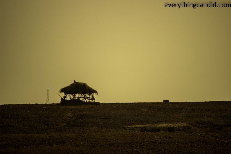 Self Drive, Road Trip, India, Rajasthan, Ford Figo, Bikaner, Mandawa, Haveli, Travel, Photography, Photo, forts, Desert, Thar, Camel, Bhujia, Jaipur, Desert Safari, Camel Ride