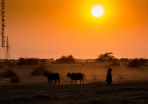 Self Drive, Road Trip, India, Rajasthan, Ford Figo, Bikaner, Mandawa, Haveli, Travel, Photography, Photo, forts, Desert, Thar, Camel, Bhujia, Jaipur, Desert Safari, Camel Ride