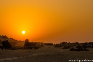 Sun, Chasing the Sun, Landscape, Golden Hour, Photography