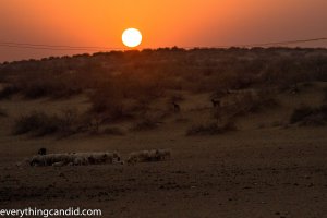 Sun, Chasing the Sun, Landscape, Golden Hour, Photography