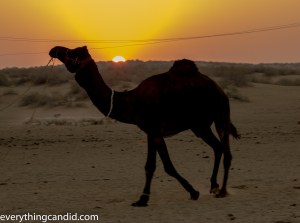 Sun, Chasing the Sun, Landscape, Golden Hour, Photography