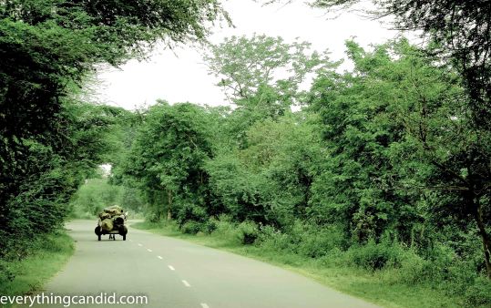 Delhi Lucknow, Self Drive, Road Less Travelled, 2014, Travel, Blog