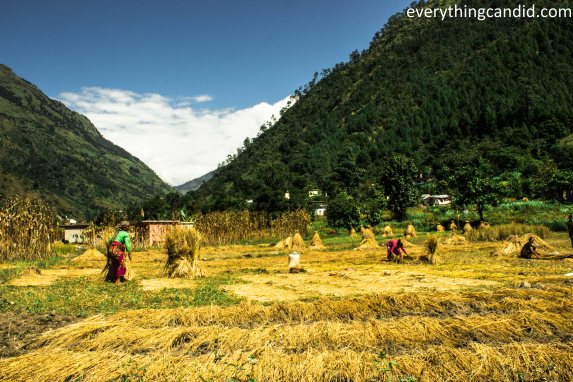 10 Incredible Moment of 2014: Journey to become Travel Photo Blogger, Delhi Lucknow, Self Drive, Road Less Travelled, 2014, Travel, Blog, Shimla, Kasauli, Pattaya, road trip, self drive, Kainnaur, Sangla, Chhitkul, Baspa, Dharchula, Kumayun, Paddy Grower, Munsiyari, Madkot, Gauri RIver, Kali River, Bangapanu, Jauljibi