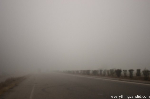 Himachal, Naggar, Kullu, Beas, India, Road Trip, Self Drive, Manali, Travel