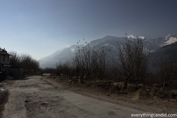 Left Bank of Beas towards Delhi!