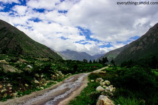Freedom, ROads, Himalaya, Road Trip