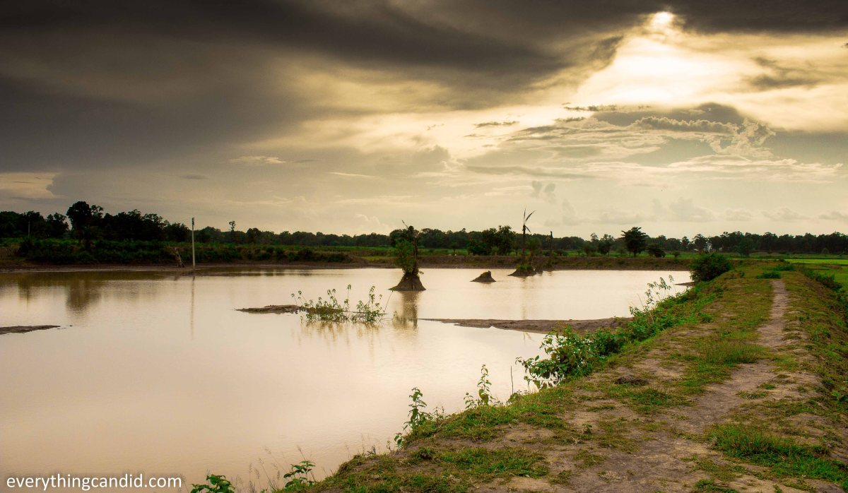 Golden Hour Landscape