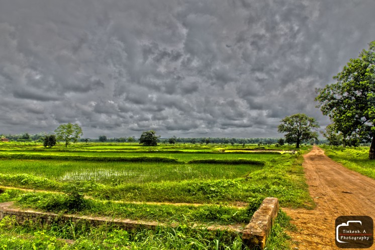 Professional Photographers Shot of Landscape. PC Tinkesh