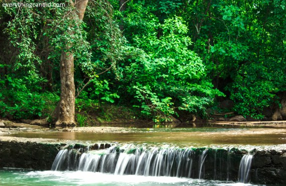 Barnawapara Wildlife Sanctuary. Jungle Safari.