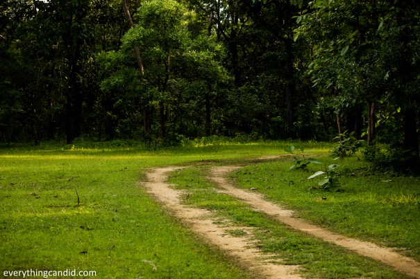 Barnawapara Wildlife Sanctuary
