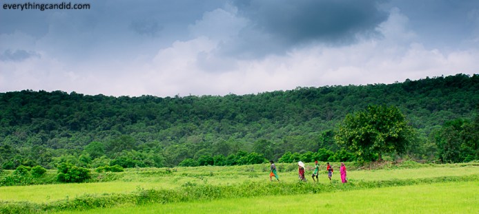 Paddy Farmesr Strolling thru Landscape