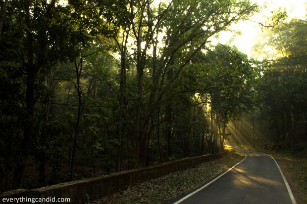 Road Trip to Madhya Pradesha nd Chhattisgarh.