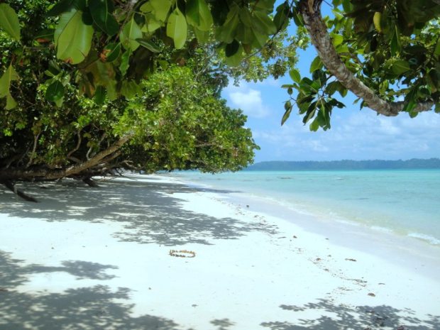 havelock-island-by-drifter-planet