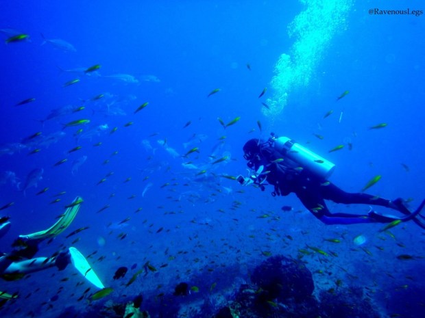 scuba diving