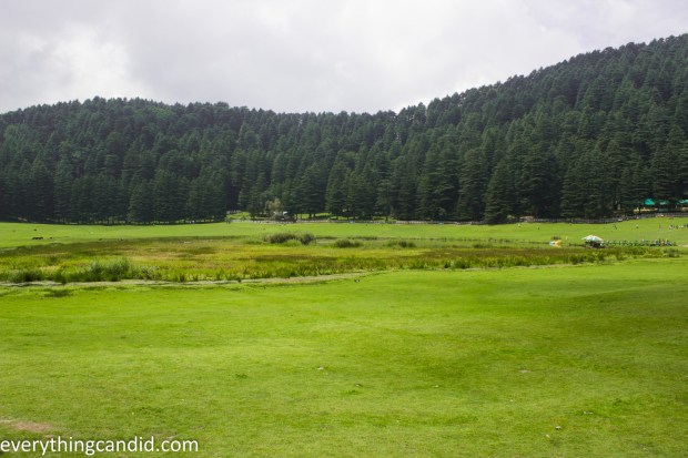 Khajjiar Meadow